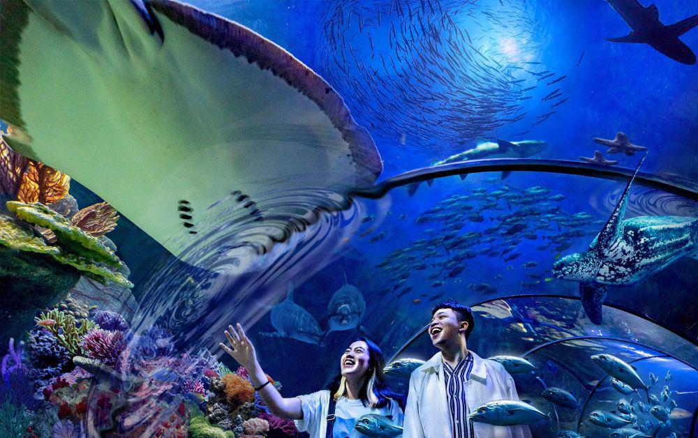 Sea World Ancol (tiket.com)
