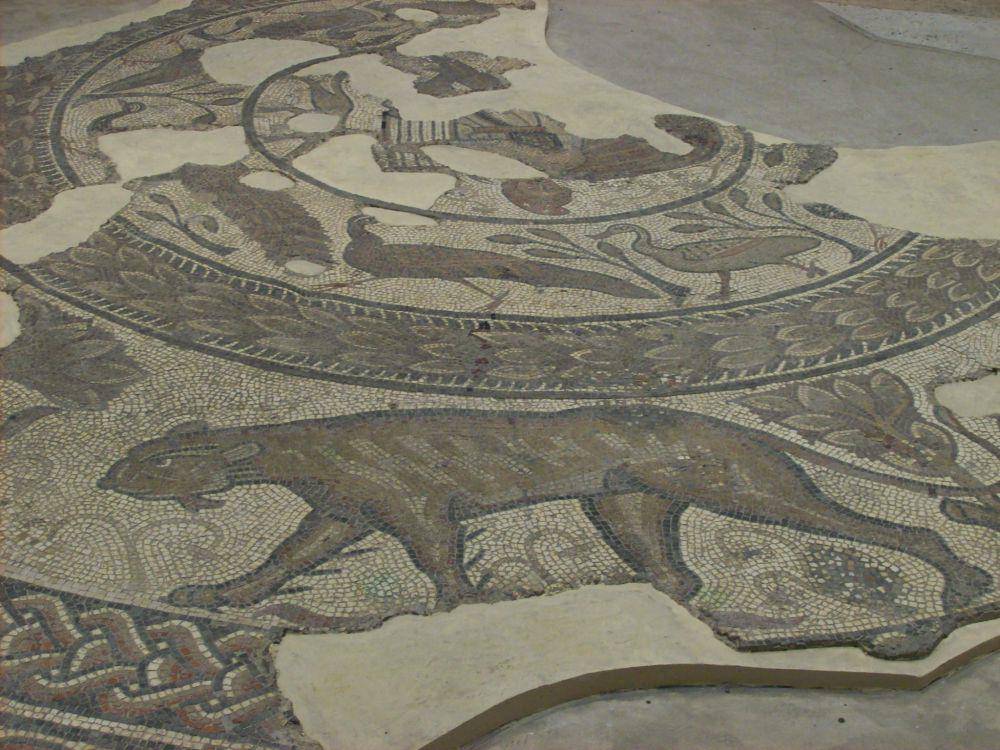 Museum Corinium di Cirencester (commons.wikimedia.org/Tony Grist)