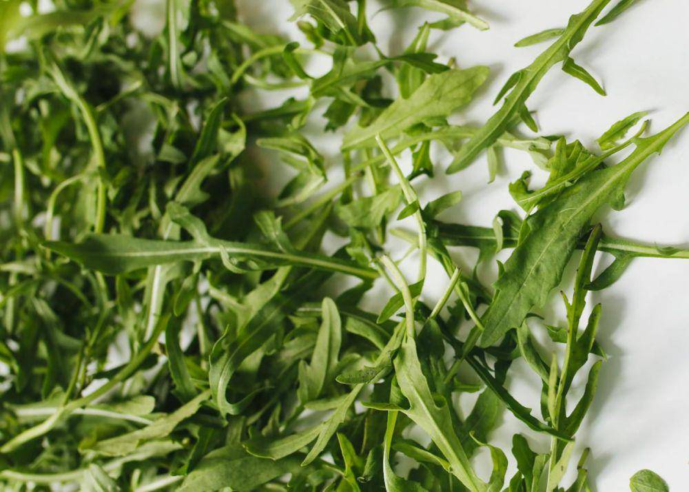 ilustrasi daun arugula (pexels.com/Polina Tankilevitch)