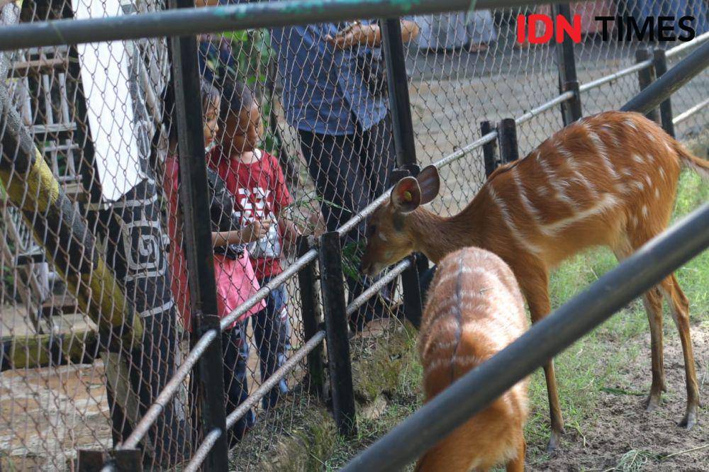 Suasana libur lebaran di KBS. IDN Times/Ardiansyah Fajar.
