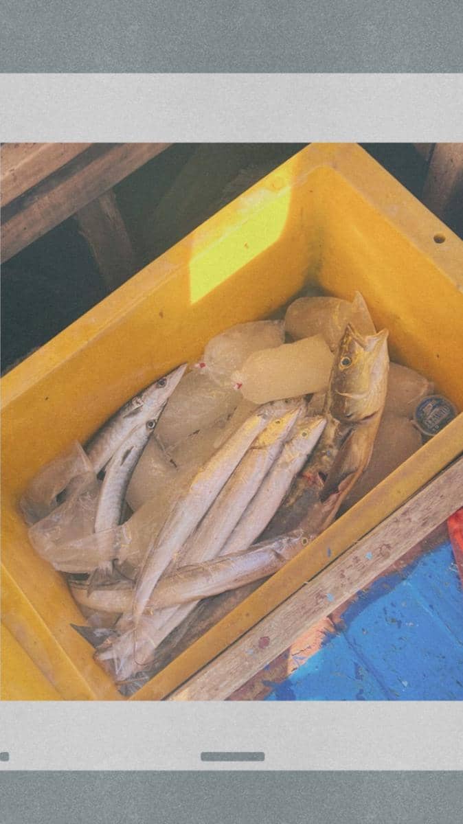 potret Prilly Latuconsina healing dengan mancing ikan di laut (instagram.com/prillylatuconsina96)