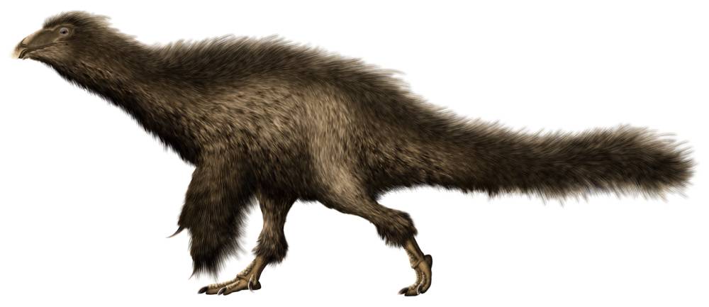 Ilustrasi Beipiaosaurus (commons.wikimedia.org/PaleoNeolitic)