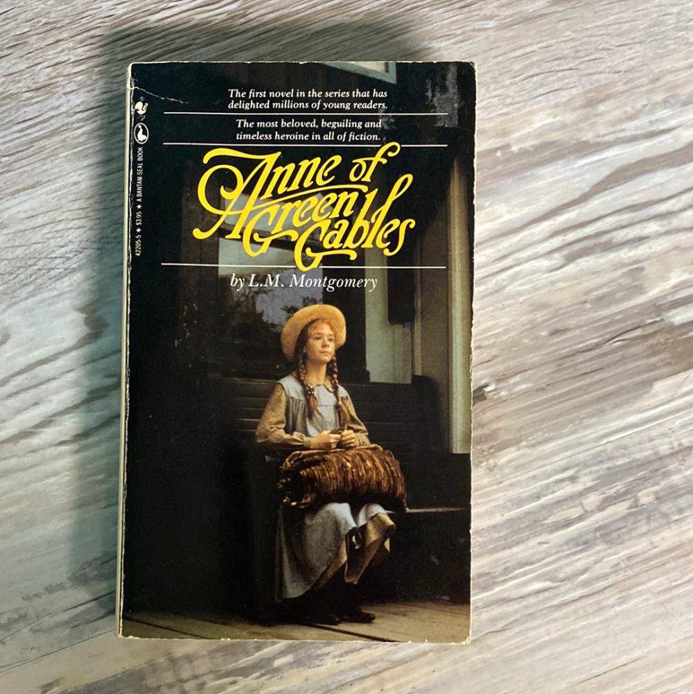 buku Anne of Green Gables (hscentralbooks.com)