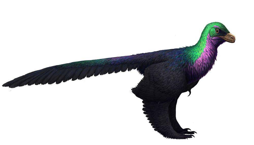 Ilustrasi Caihong (commons.wikimedia.org/Lucas-Attwell)