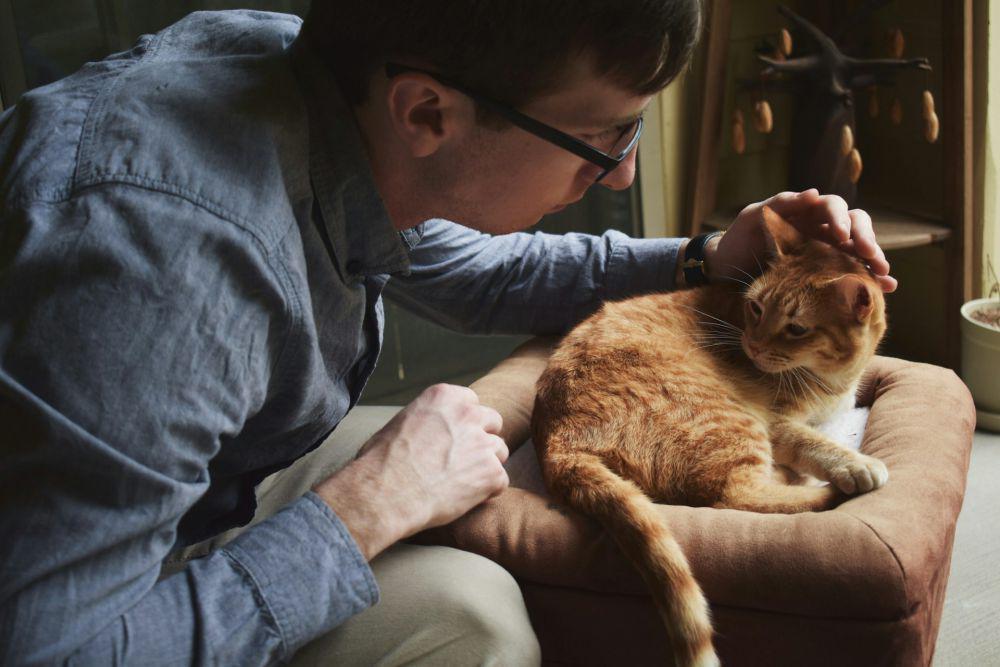 Studi Buktikan Beberapa Orang Bisa Baca Pikiran Kucing! Ini 5 Faktanya