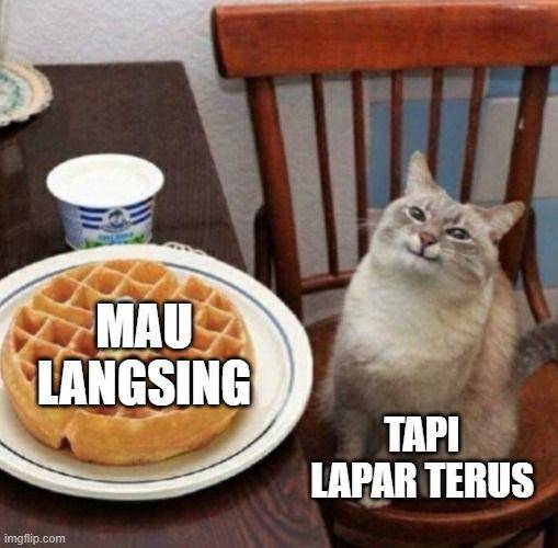 meme kucing senyum (twitter.com/kawanhewan)