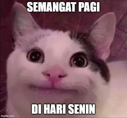 meme kucing senyum (twitter.com/milkyourdays)