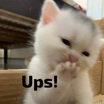 meme kucing senyum (IDN Times/Ana Widiawati)