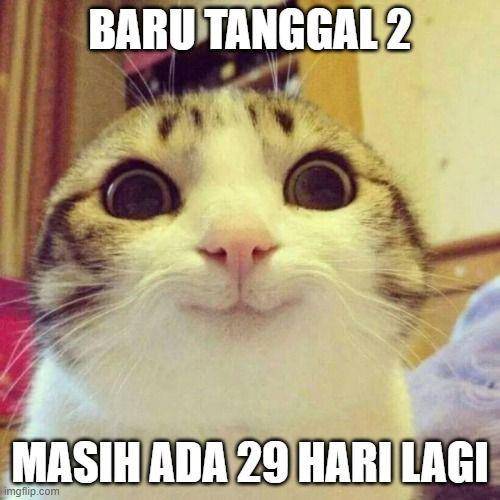 meme kucing senyum (twitter.com/kawanhewan)