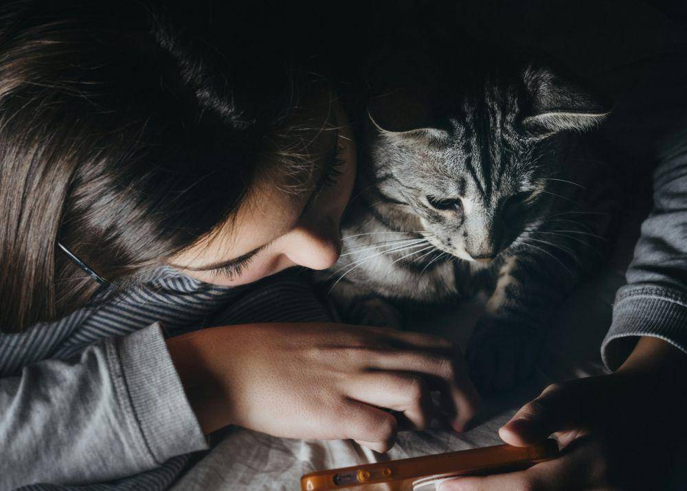 ilustrasi animal people (unsplash.com/Velizar Ivanov)