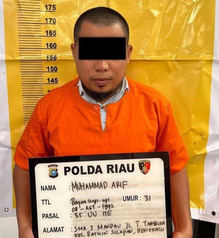 Manipulasi Suara Hakim MK di TikTok, Pria di Riau Ditangkap Polisi