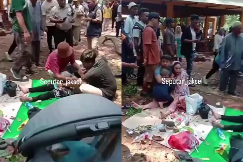 Dahan Pohon Kemenyan di Ragunan Tumbang Menimpa 2 Pengunjung