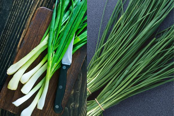 [QUIZ] Coba Tebak Perbedaan Daun Bawang dan Kucai Ini!