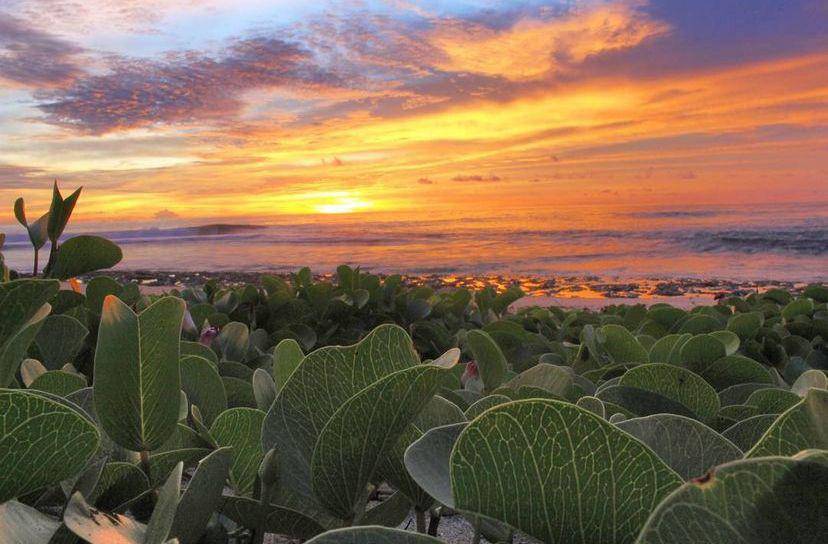 Pantai Melasti Pesisir Barat. (Instagram/widiyansah06)