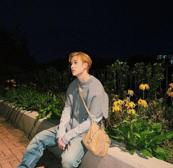 Bang Chan Stray Kids (instagram.com/gnabnahc)