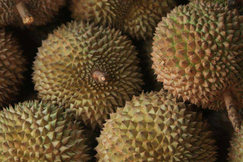 gambar durian (unsplash.com/Mufid Majnun)