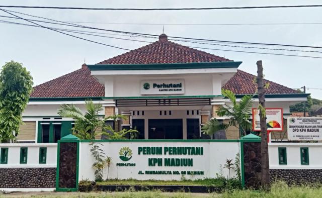 Lahan Perhutani Ditanami Tebu, Pasok Bahan Baku Pabrik Gula di Madiun