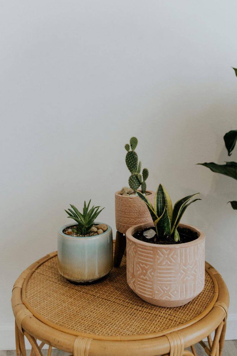 ide furnitur rotan (unsplash.com/@sun_studio_creative)