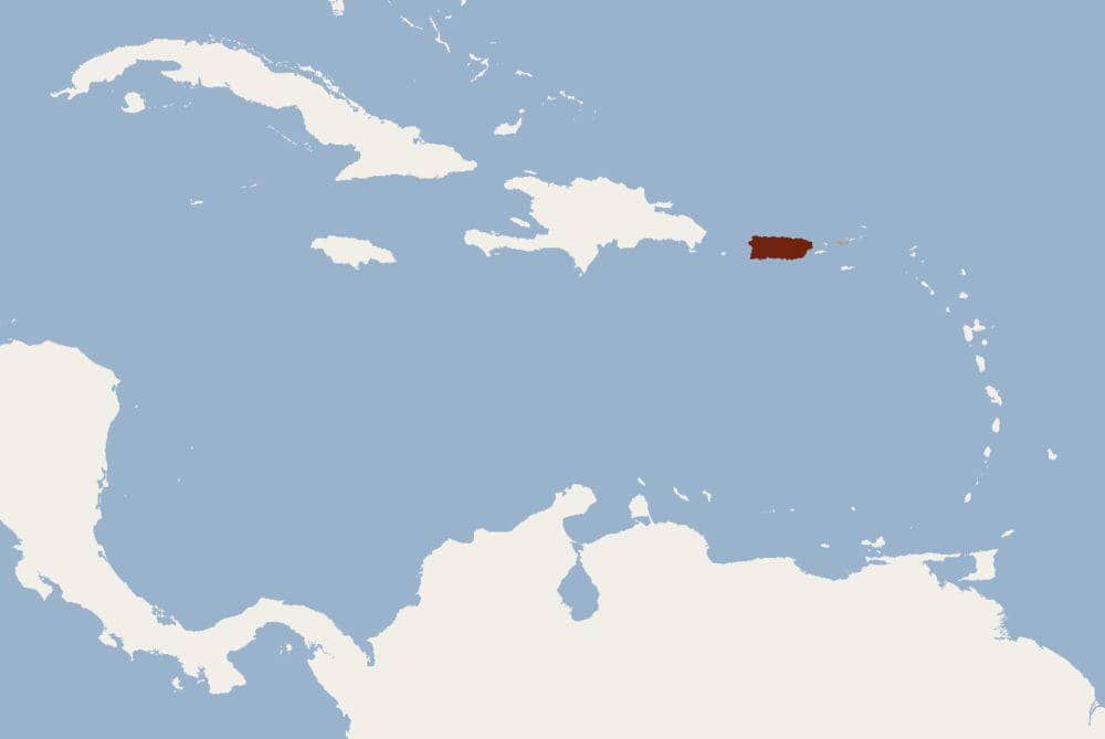 Wilayah penyebaran red fruit bat (commons.m.wikimedia.org/A proietti)