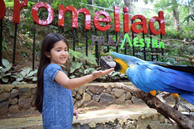 ilustrasi bermain di Bird Pavilion Bandung (dok. Bird Pavilion)