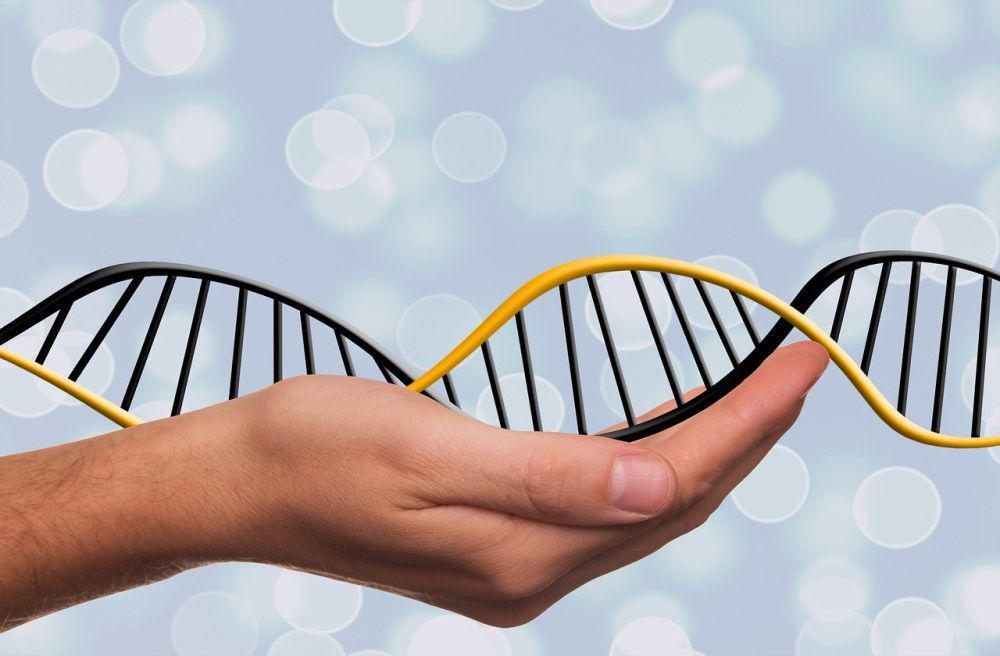 3 Profesi yang Berhubungan Erat dengan DNA