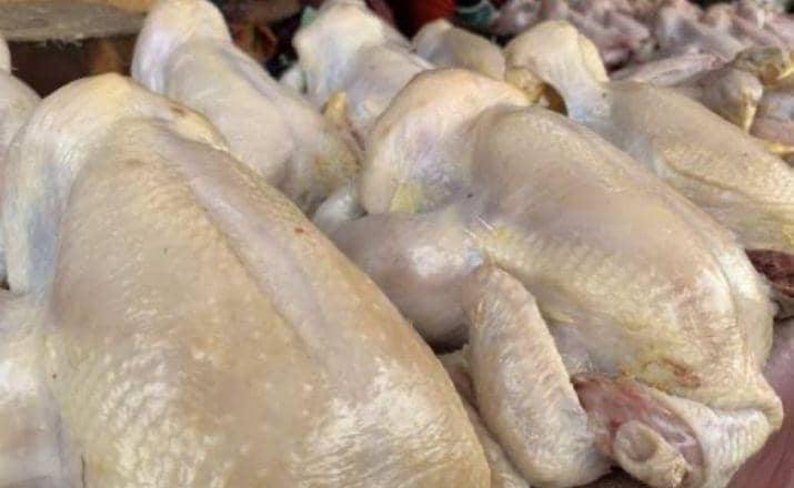 Ayam potong