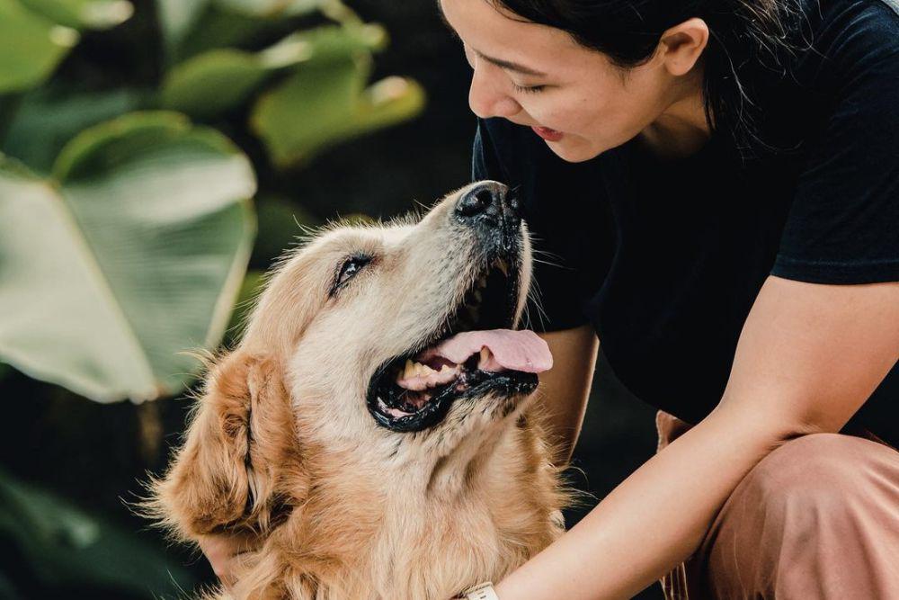 5 Kafe Pet Friendly di Yogyakarta, Bisa Nongkrong Bareng Anabul!