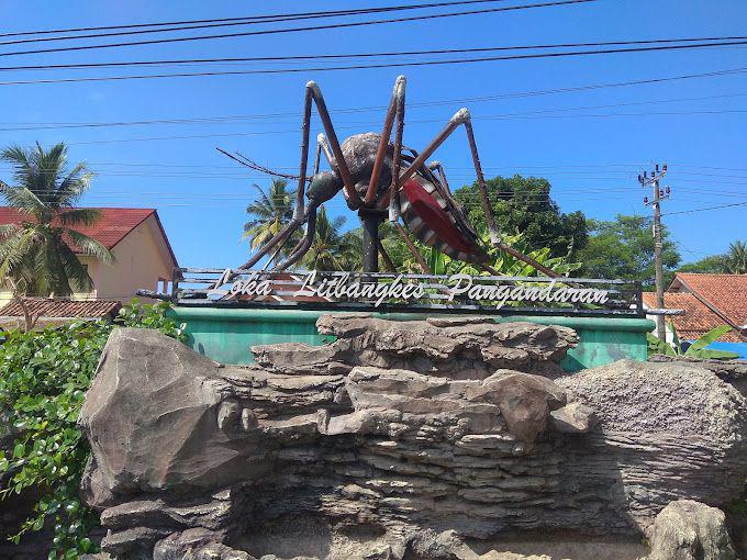 Mengintip Museum Nyamuk, Wisata Unik dan Edukatif di Pangandaran