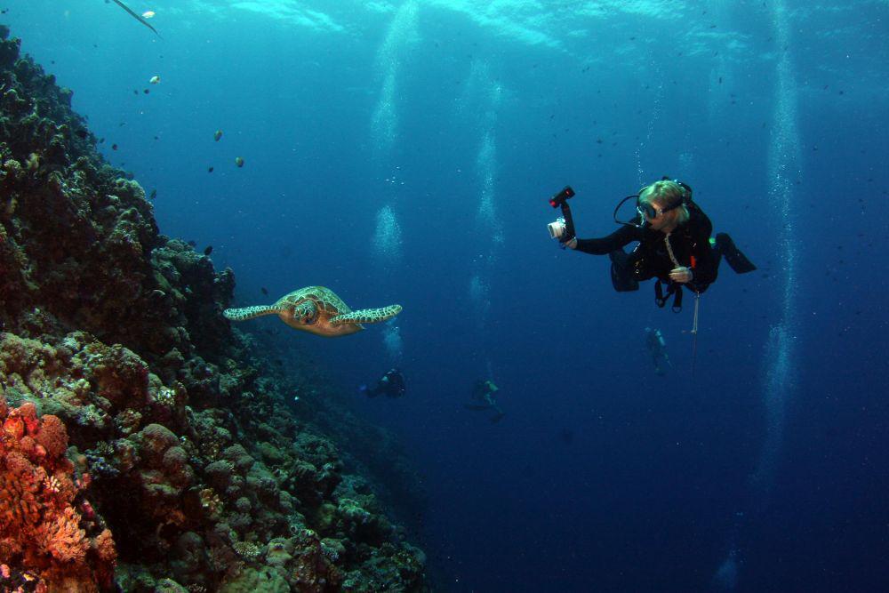 3 Cara Oksigen Memasuki Air Laut, Sudah Tahu?