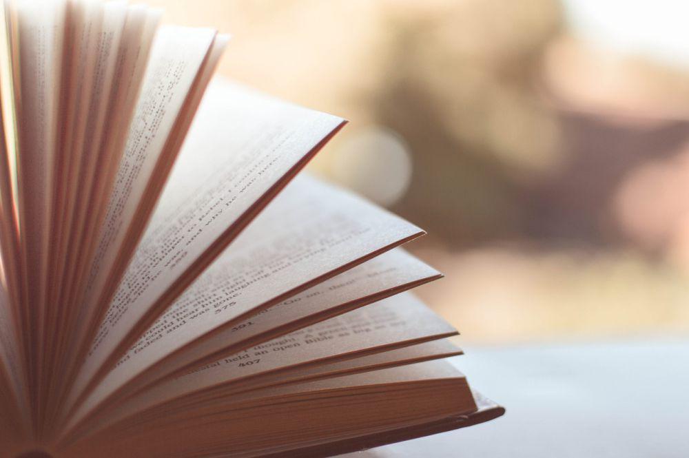 Sejarah dan Tema Hari Buku Sedunia 2024