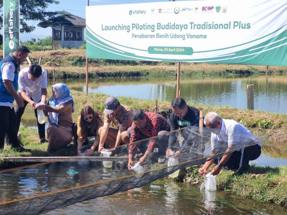 Startup e-Fishery Jalankan Budidaya Udang Tradisional Plus di Sulsel