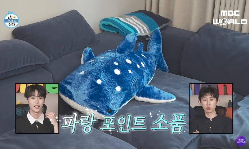 potret apartemen baru Doyoung NCT (dok. MBC/I Live Alone)