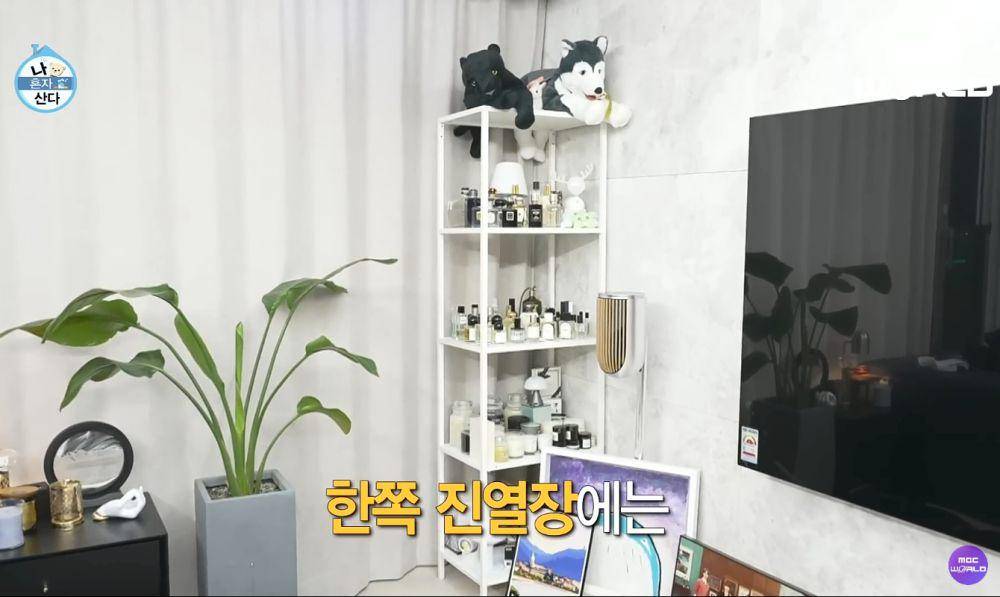 potret apartemen baru Doyoung NCT (dok. MBC/I Live Alone)