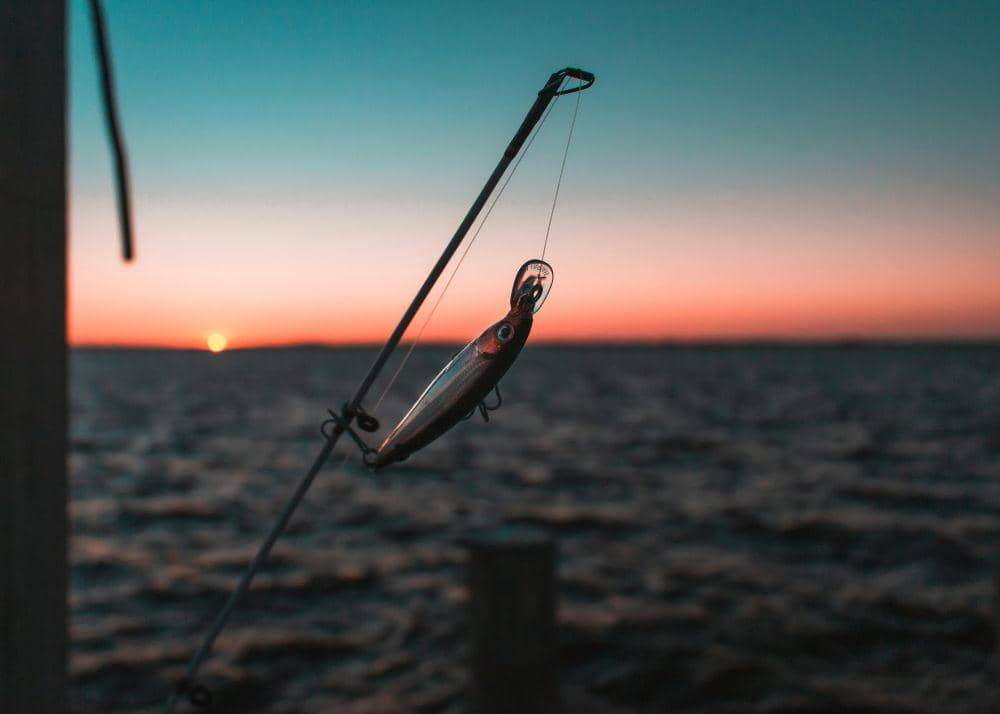 ilustrasi seekor ikan pada alat pancing (unsplash.com/@chrishardyphotography)