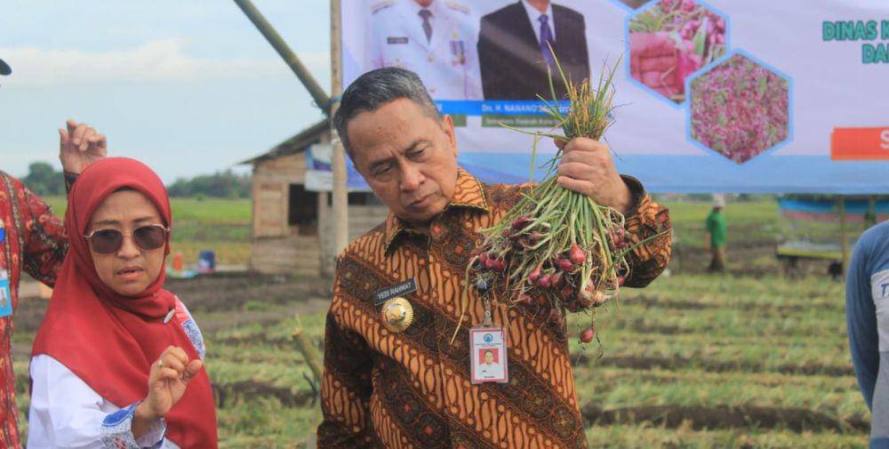 Dok. Istimewa/pemkotserang