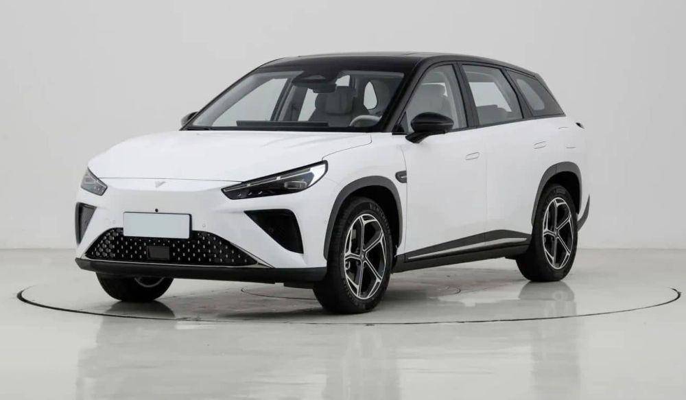 Neta L resmi meluncur (Carnewschina)