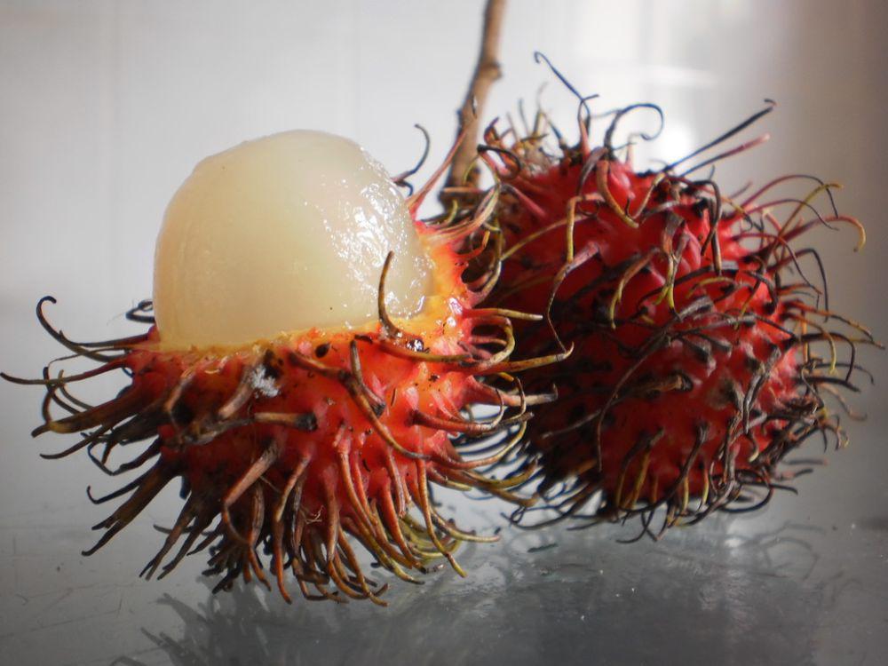 5 Jenis Rambutan, Jelajahi Keanekaragaman Buah Merah yang Manis