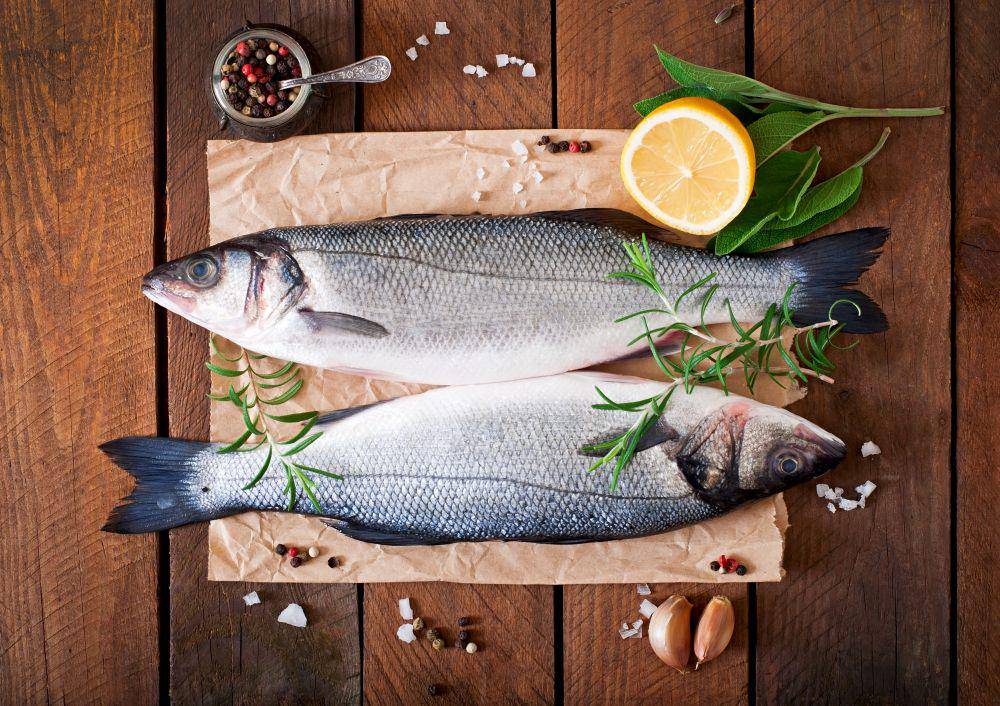ilustrasi ikan barramundi (freepik.com/timolina)