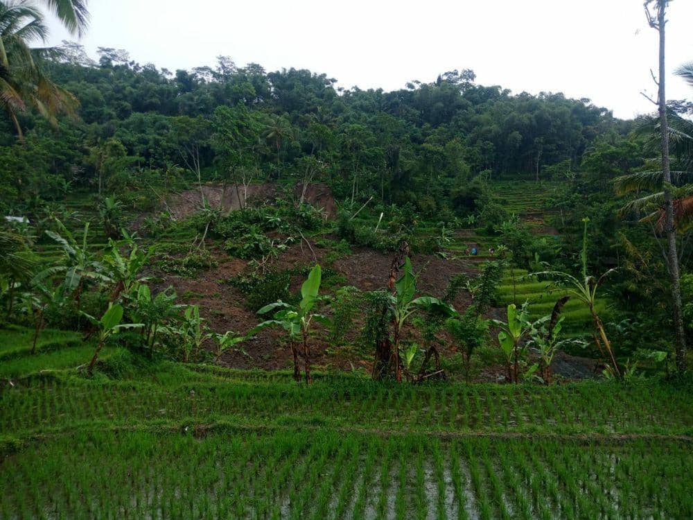 Detik-detik Mengerikan Longsor Tebing Setinggi 120 Meter di KBB