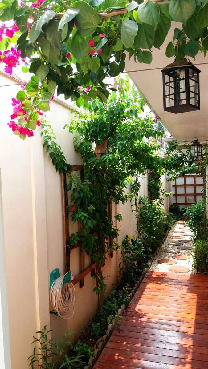 inspirasi foodpath untuk ciptakan side yard minimalis (tuacasa.com.br)