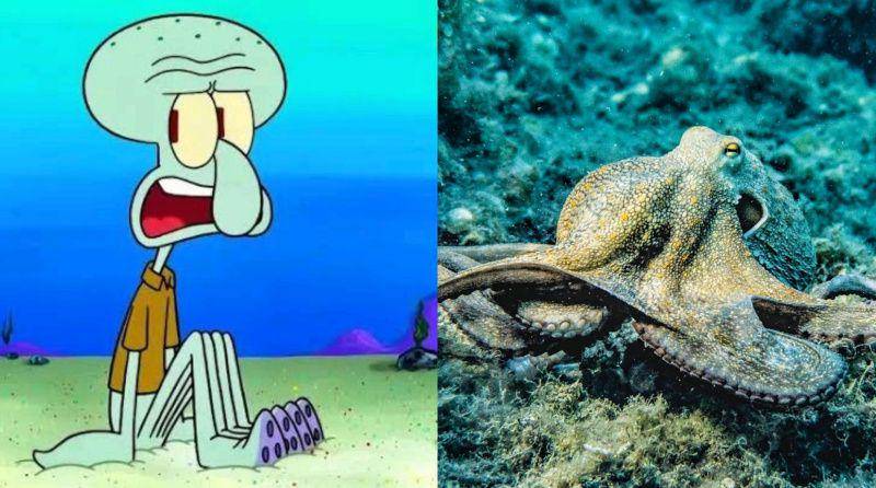 gambar Squidward dan gurita (dok. Nickelodeon/SpongeBob SquarePants | pexels.com/Pia B)
