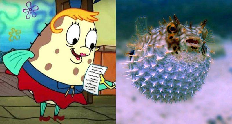 gambar Mrs. Puff dan ikan buntal (dok. Nickelodeon/SpongeBob SquarePants | unsplash.com/Stelio Puccinelli)