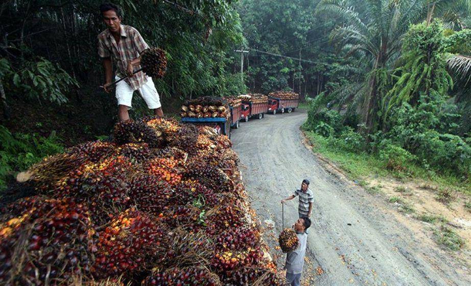 (ANTARA FOTO/Septianda Perdana)