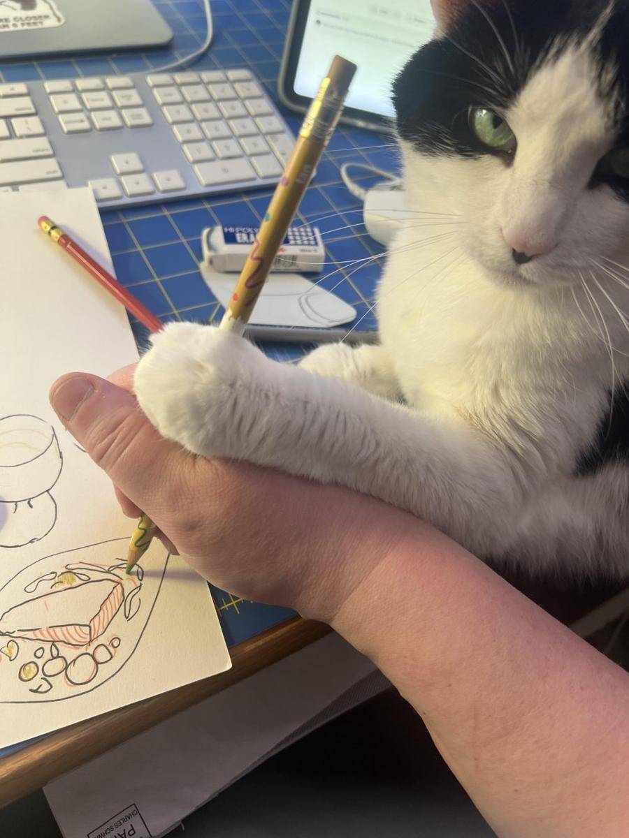 foto kucing menjadi pelukis handal (reddit.com/user/m1nky)