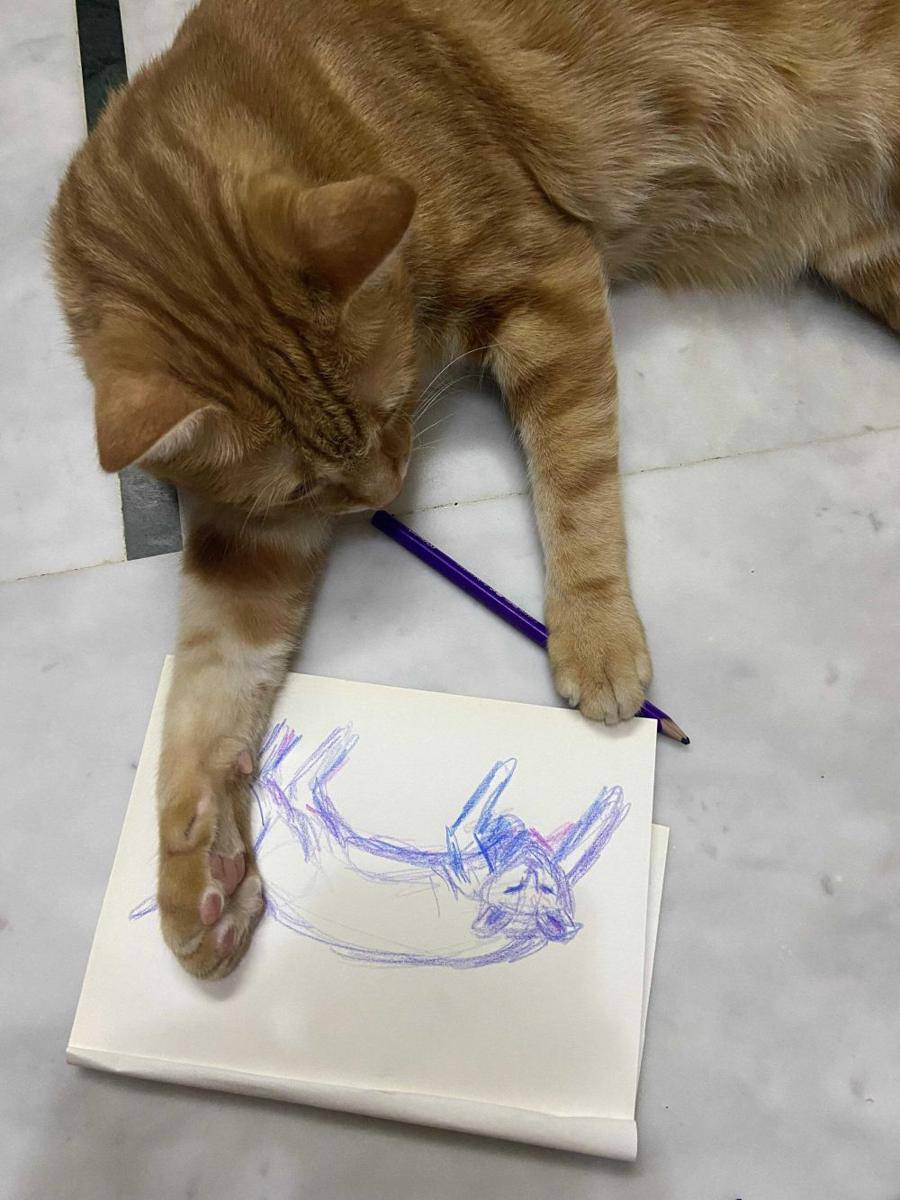 foto kucing menjadi pelukis handal (reddit.com/user/Sumo_creates)