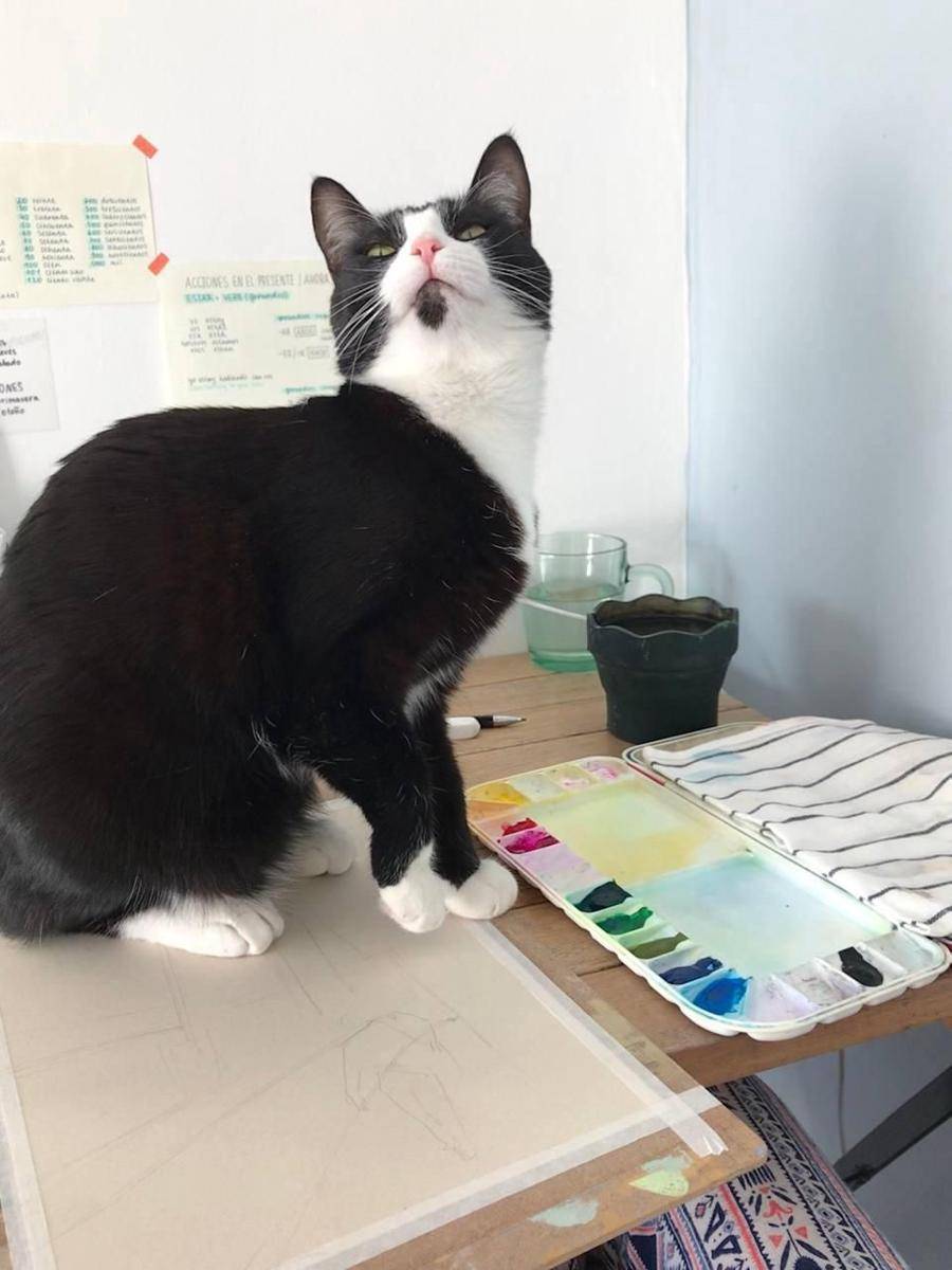 foto kucing menjadi pelukis handal (reddit.com/user/tayulya)
