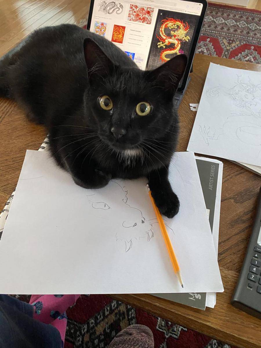 foto kucing menjadi pelukis handal (reddit.com/r/Catswithjobs)