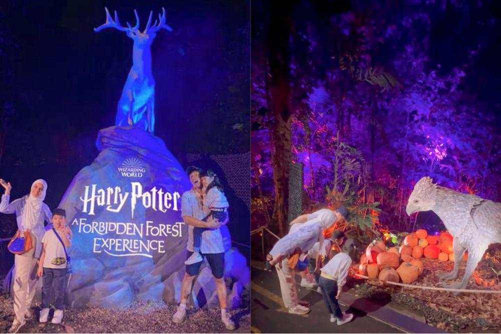 8 Momen Nycta Gina ke Harry Potter Forbidden Forest Experience, Magic!