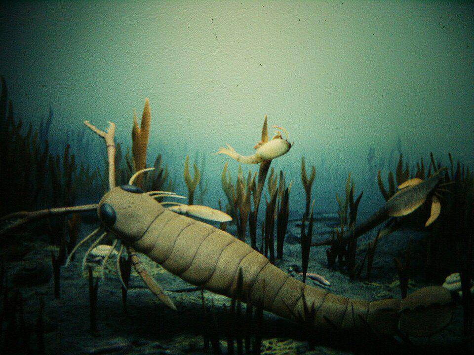 ilustrasi keadaan laut di zaman paleozoikum (Wikimedia Commons/Gary Todd)