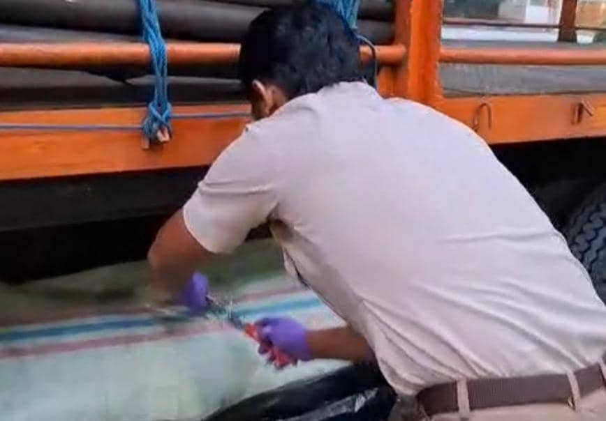 Pengungkapan penyelundupan 390 Kg daging celeng oleh petugas Karantina Lampung. (DOK. Karantina Lampung).